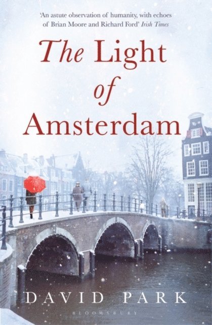 David Park - Light of Amsterdam, E-bok