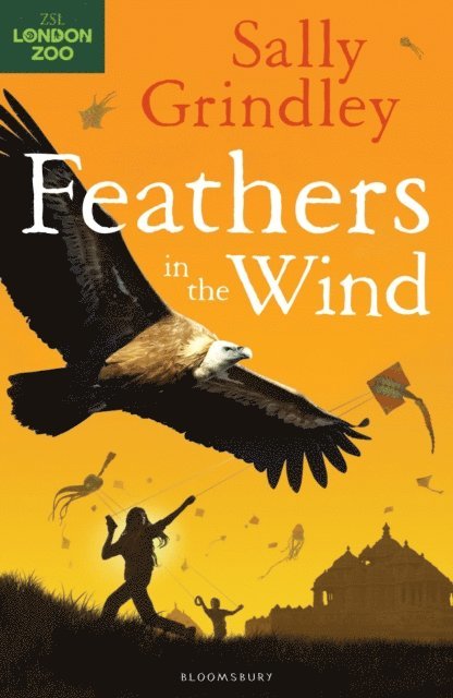 Sally Grindley - Feathers in the Wind, E-bok