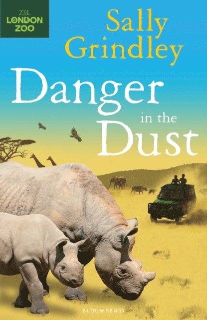 Sally Grindley - Danger in the Dust, E-bok