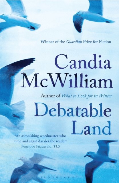 Candia McWilliam - Debatable Land, E-bok