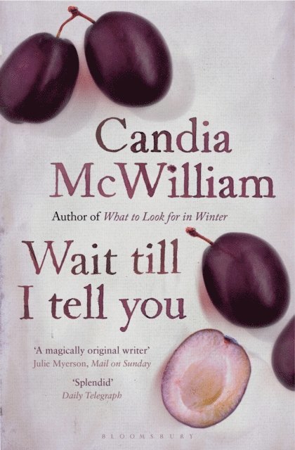 Candia McWilliam - Wait Till I Tell You, E-bok