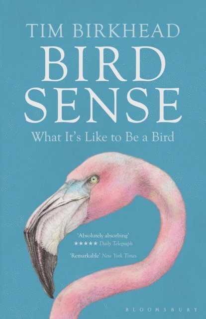 Tim Birkhead - Bird Sense, E-bok