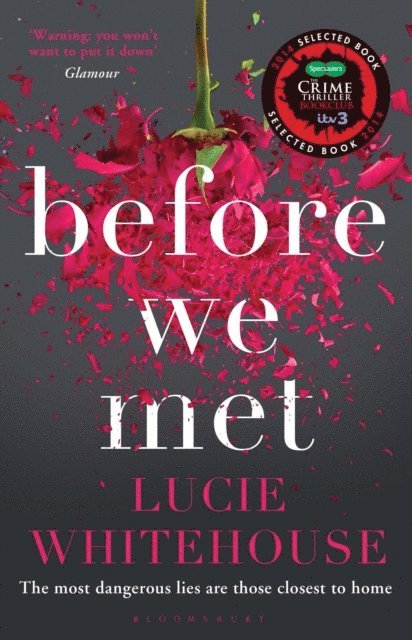 Lucie Whitehouse - Before We Met, E-bok