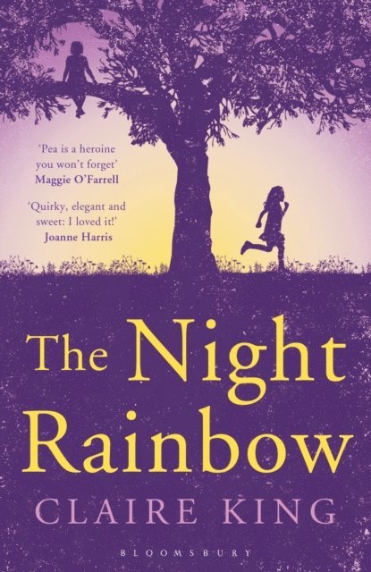 Claire King - Night Rainbow, E-bok