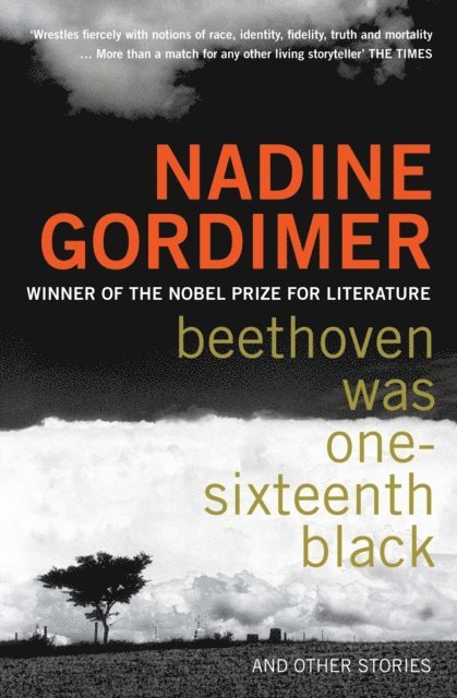 Nadine Gordimer - Beethoven Was One-sixteenth Black, E-bok