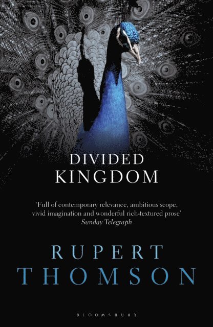 Rupert Thomson - Divided Kingdom, E-bok. Tillgänglighet: Lägg i varukorg