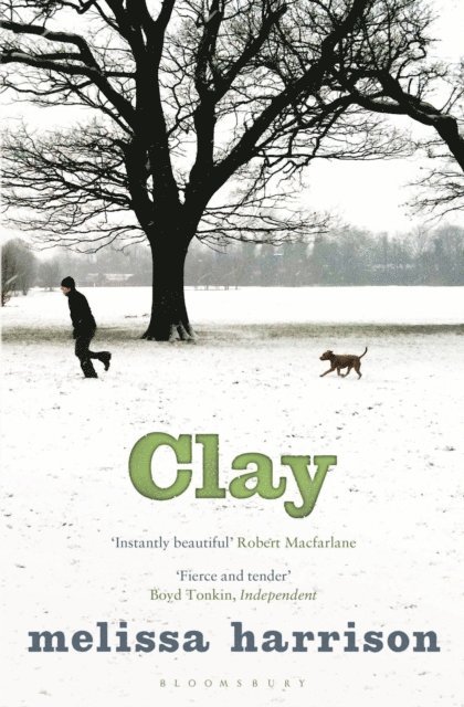 Melissa Harrison - Clay, E-bok