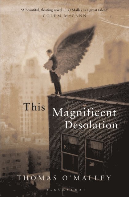 Thomas O'Malley - This Magnificent Desolation, E-bok