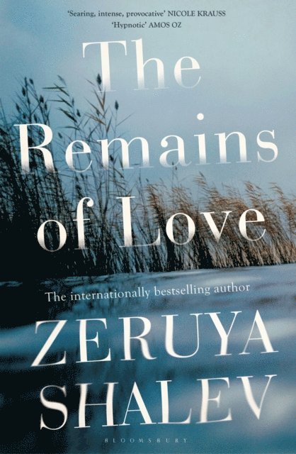 Zeruya Shalev - Remains of Love, E-bok