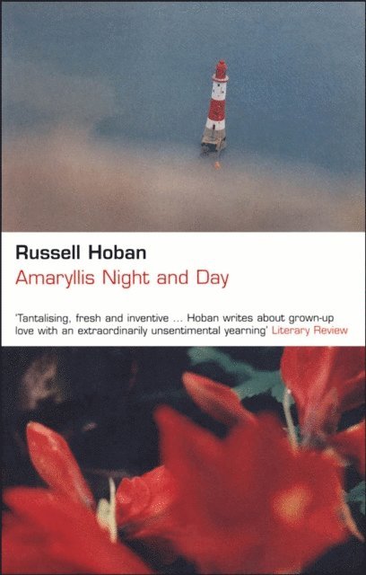 Russell Hoban - Amaryllis Night and Day, E-bok