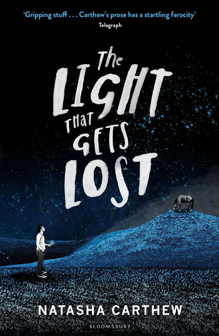 Natasha Carthew - Light That Gets Lost, Häftad. Tillgänglighet: Lägg i varukorg