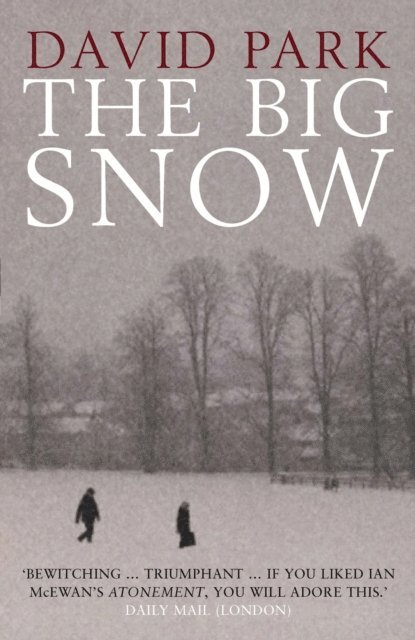 David Park - Big Snow, E-bok