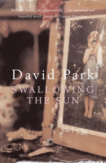David Park - Swallowing the Sun, E-bok