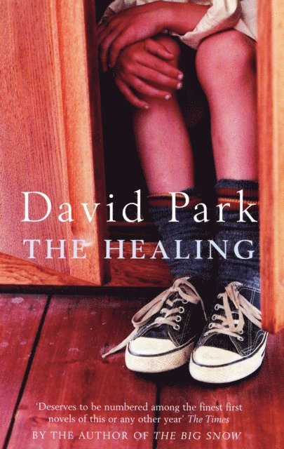 David Park - Healing, E-bok