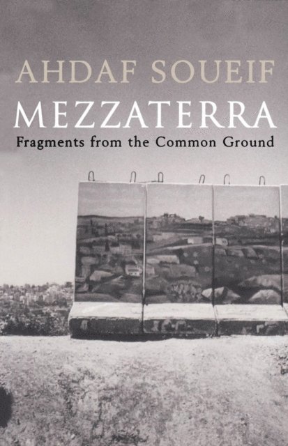 Ahdaf Soueif - Mezzaterra, E-bok