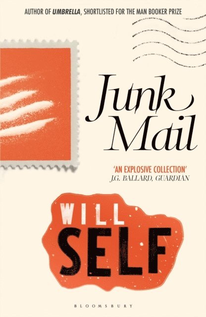 Will Self - Junk Mail, E-bok