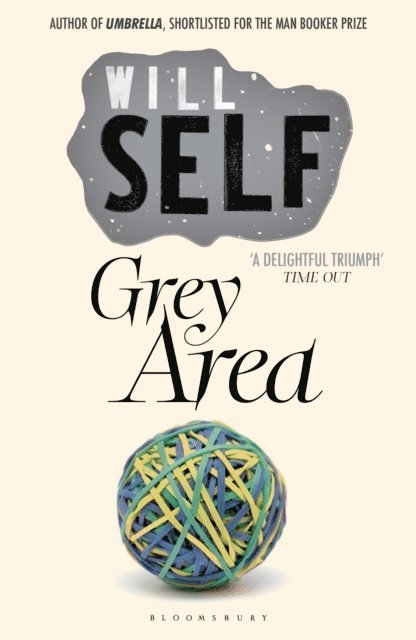 Will Self - Grey Area, E-bok