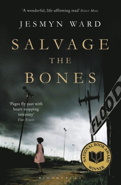 Jesmyn Ward - Salvage the Bones, E-bok