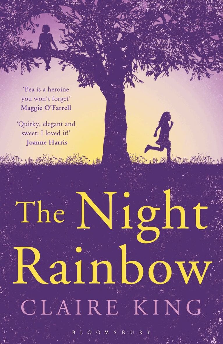 Claire King - Night Rainbow, Häftad