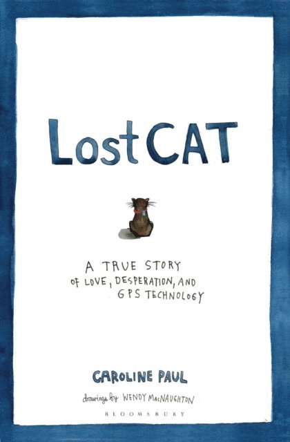 Caroline Paul - Lost Cat, E-bok