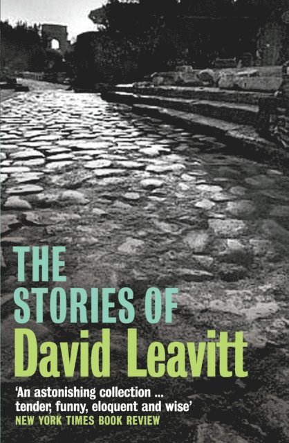 David Leavitt - Stories of David Leavitt, E-bok