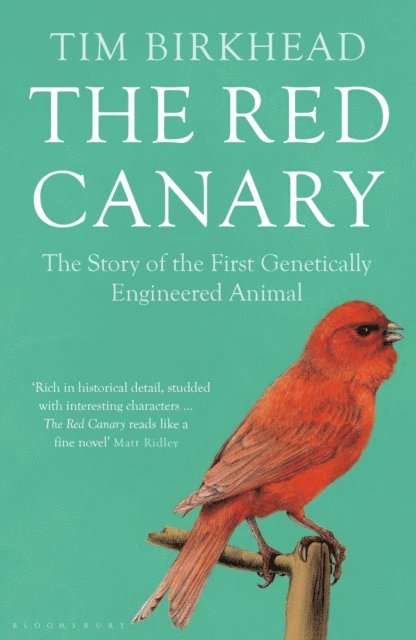 Tim Birkhead - Red Canary, E-bok