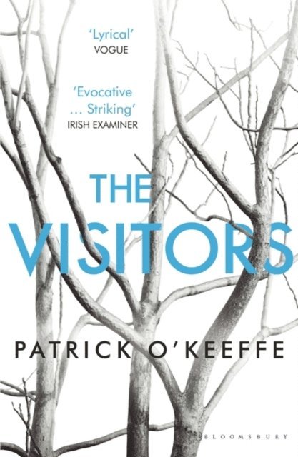 Patrick O'Keeffe - Visitors, E-bok