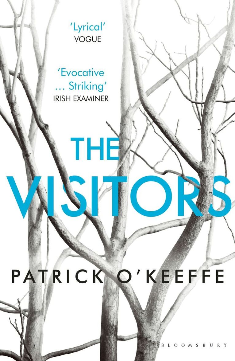 Patrick O'Keeffe - Visitors, Häftad