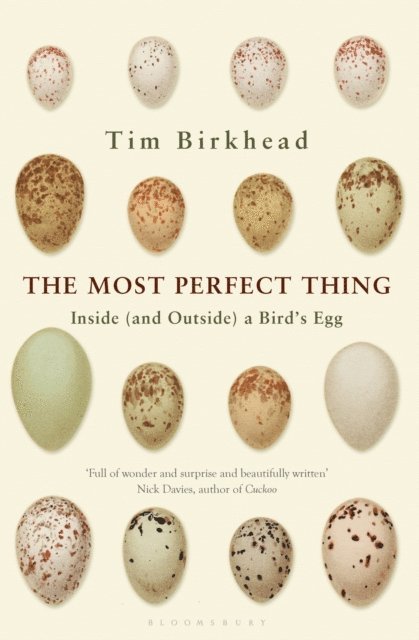 Tim Birkhead - Most Perfect Thing, E-bok