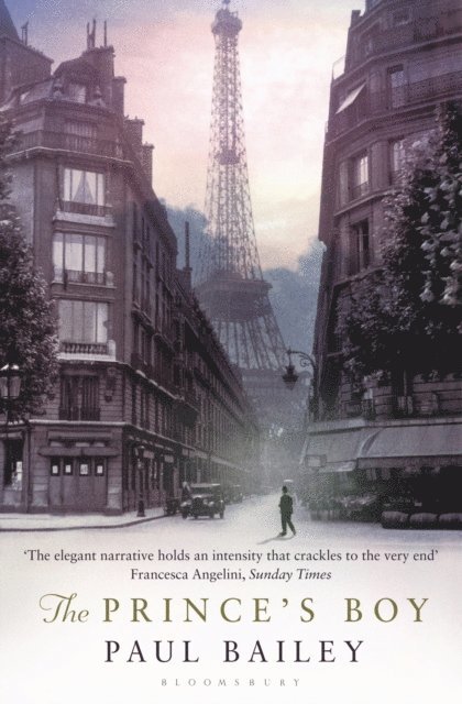 Paul Bailey - Prince's Boy, E-bok
