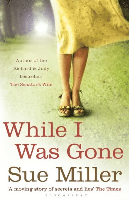 Sue Miller - While I Was Gone, E-bok