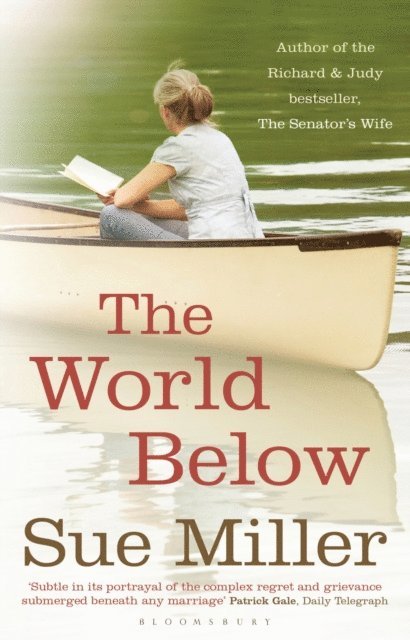 Sue Miller - World Below, E-bok