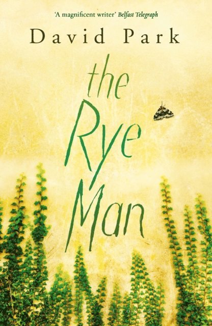 David Park - Rye Man, E-bok