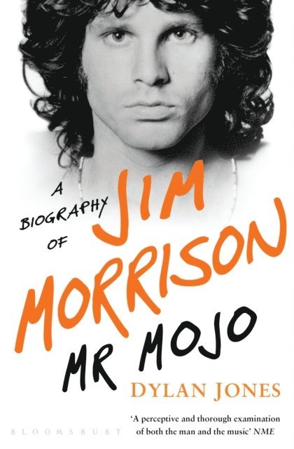 Dylan Jones - Mr Mojo, E-bok