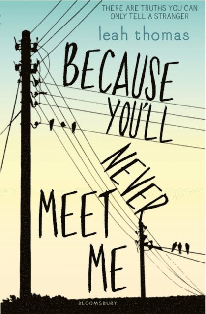 Leah Thomas - Because You'll Never Meet Me, E-bok