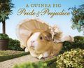 Guinea Pig Pride & Prejudice