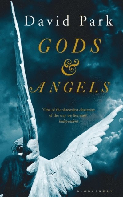 David Park - Gods and Angels, E-bok