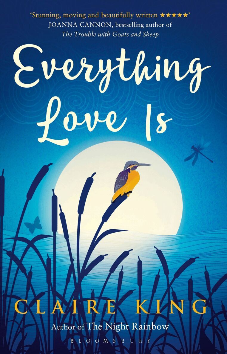 Claire King - Everything Love Is, Häftad
