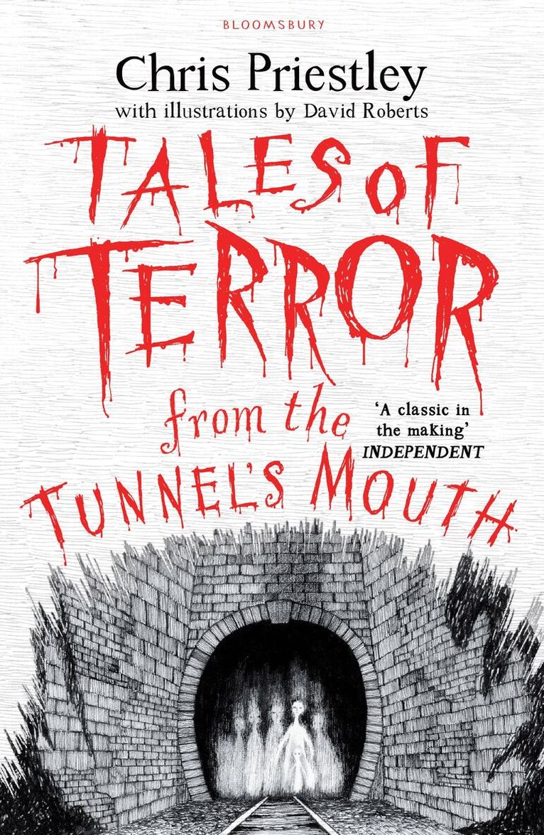 Chris Priestley - Tales of Terror from the Tunnel's Mouth, Häftad