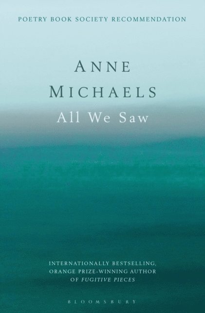 Anne Michaels - All We Saw, E-bok