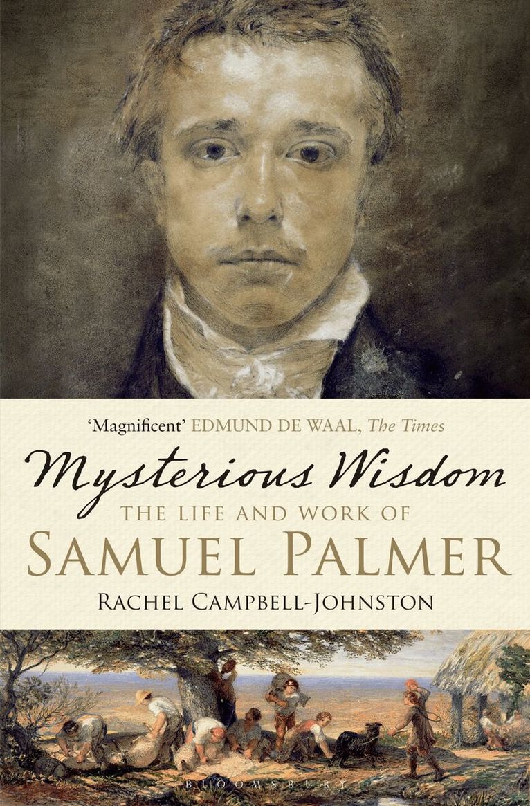 Rachel Campbell-Johnston - Mysterious Wisdom, Häftad. Tillgänglighet: Lägg i varukorg
