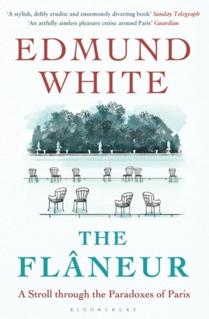 Edmund White - Flaneur, E-bok