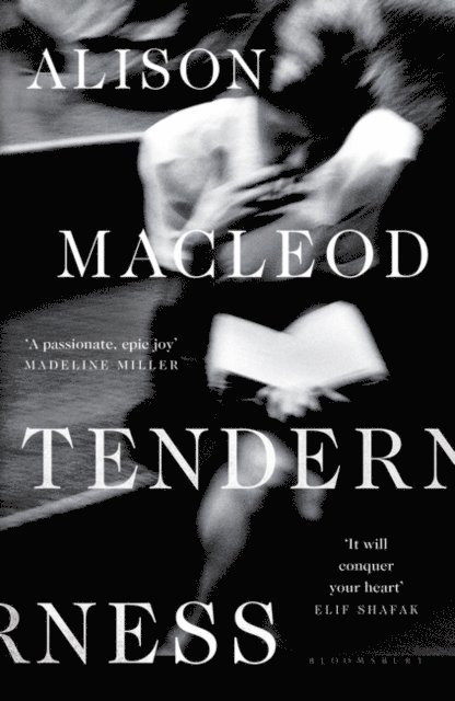 Alison MacLeod - Tenderness, E-bok