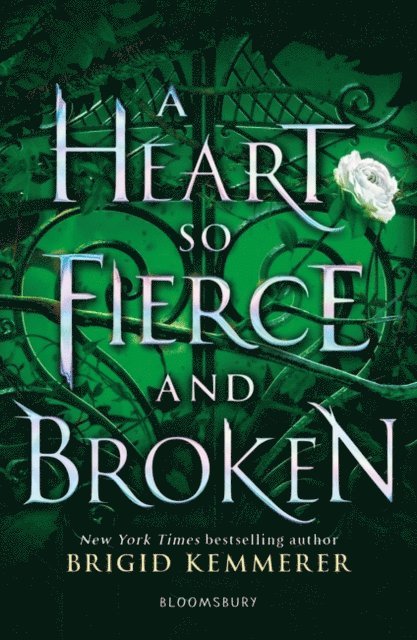 Brigid Kemmerer - Heart So Fierce and Broken, E-bok