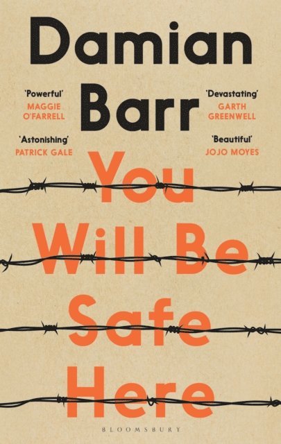 Damian Barr - You Will Be Safe Here, E-bok