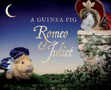 Guinea Pig Romeo & Juliet