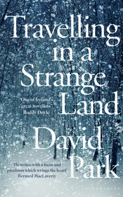 David Park - Travelling in a Strange Land, E-bok