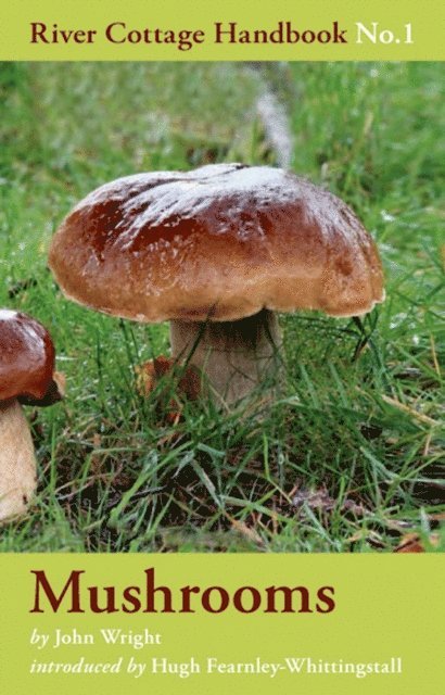 John Wright - Mushrooms, E-bok