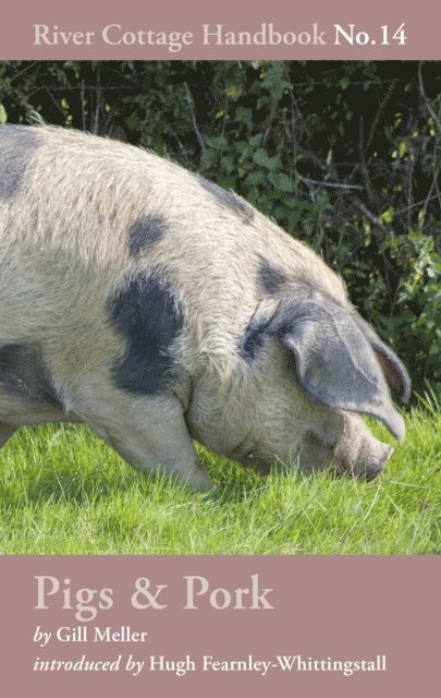 Gill Meller - Pigs & Pork, E-bok