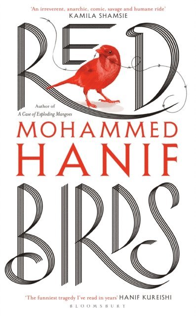 Mohammed Hanif - Red Birds, E-bok